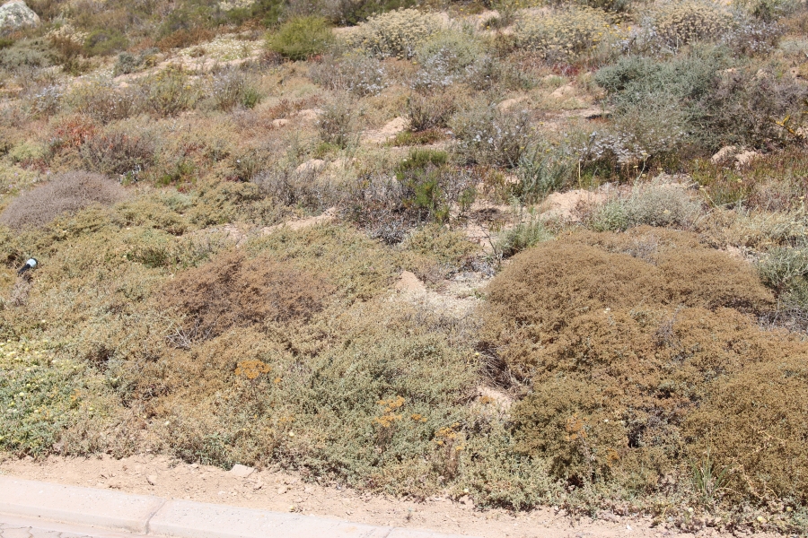 0 Bedroom Property for Sale in St Helena Views Western Cape